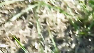 Flash Beach Epilation