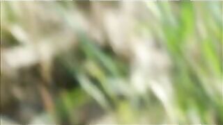 Flash Beach Epilation