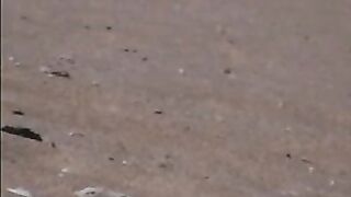 Nude eforie Romania beach