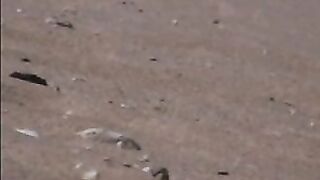 Nude eforie Romania beach