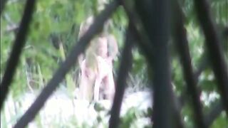 Public russian beach sex