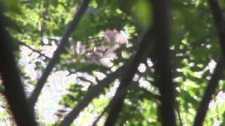 Not-so-private nudist beach sex