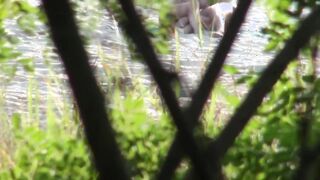 Not-so-private nudist beach sex